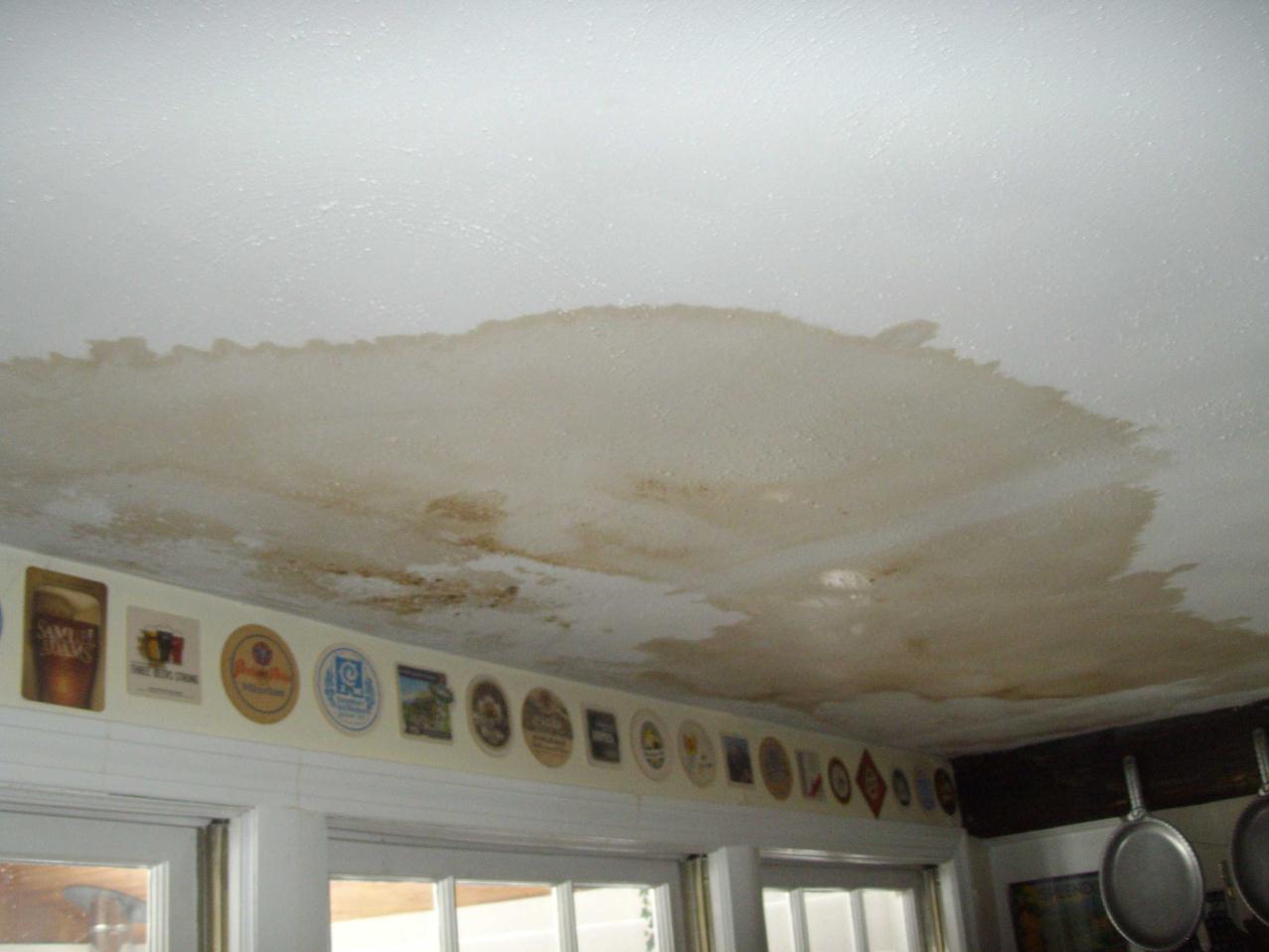 ceiling damage water repair stains ceilings wet paint mold painting bathroom damaged roof walls stain dam ice leak flora brothers