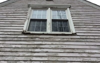 Dry Rot- The Silent Destructor