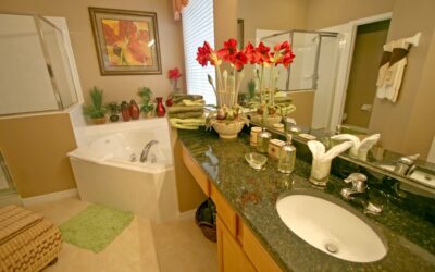 How to Protect Your Bathroom’s New Paint Job