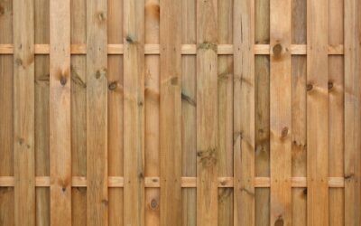 What Color Should I Paint My Privacy Fence?
