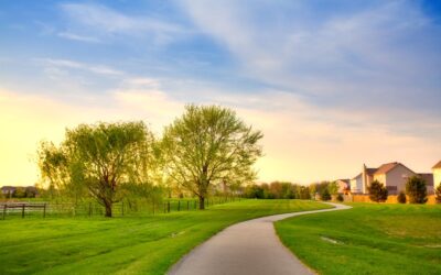 Pros and Cons of a Summer Painting Project