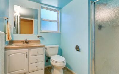 Paint a Stunning Guest Bathroom